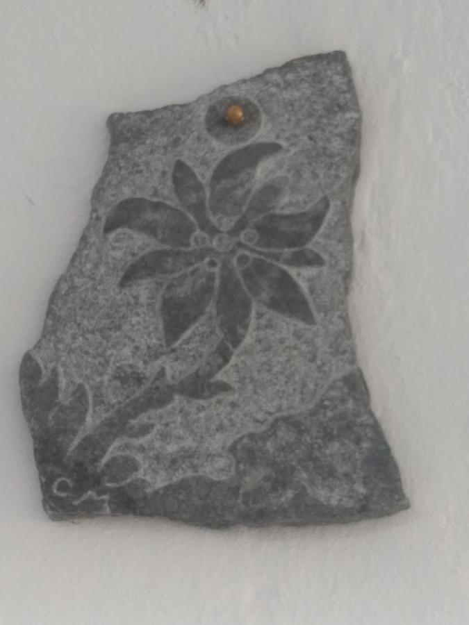 Alpette Gran Paradiso מראה חיצוני תמונה