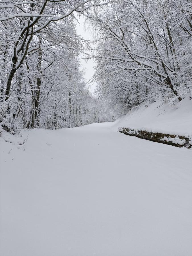 Alpette Gran Paradiso מראה חיצוני תמונה