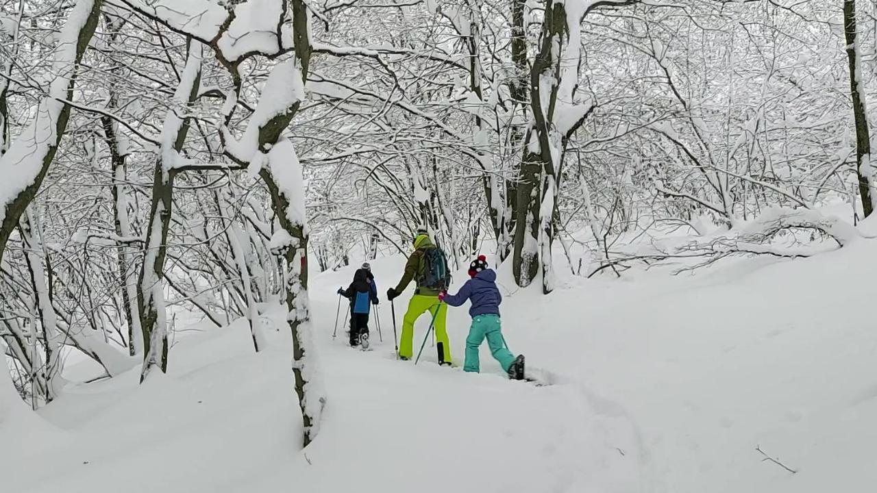 Alpette Gran Paradiso מראה חיצוני תמונה