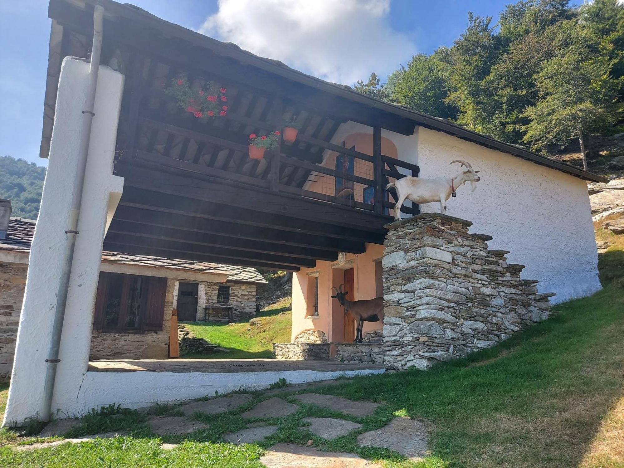 Alpette Gran Paradiso מראה חיצוני תמונה